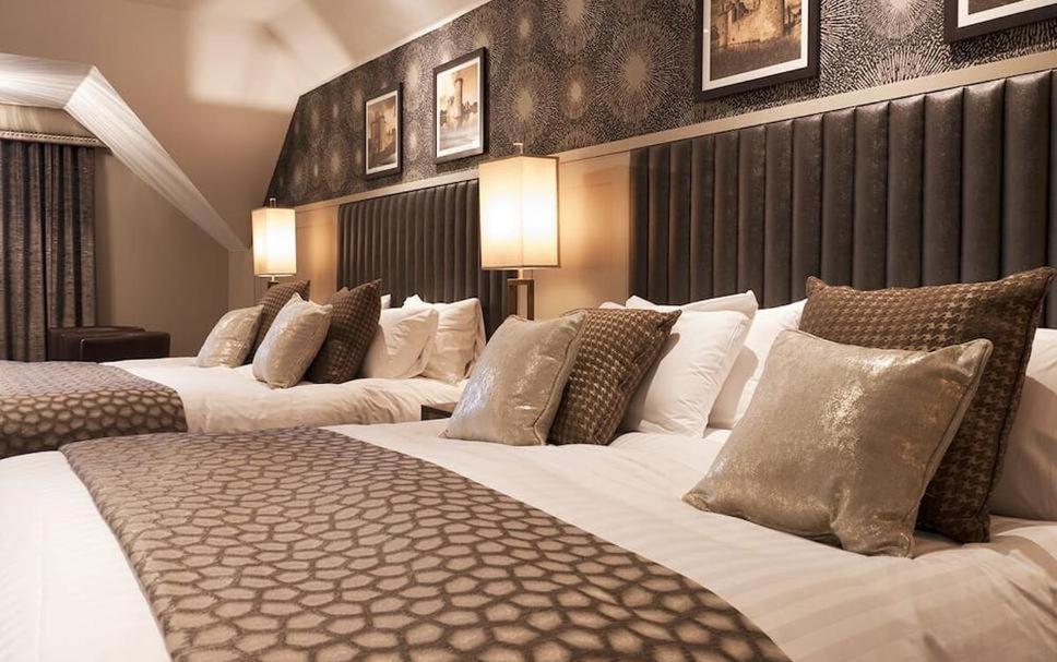 Hotel Tulip Near Delhi Airport New Delhi Phòng bức ảnh